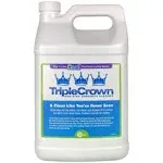 Encore Triple Crown Concrete Cleaner - 1 Gallon TC-1