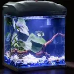 Betta Fish Tank 2 Gallon Glass Aquarium W/Filter &amp; LED Plant Light Kids Room New