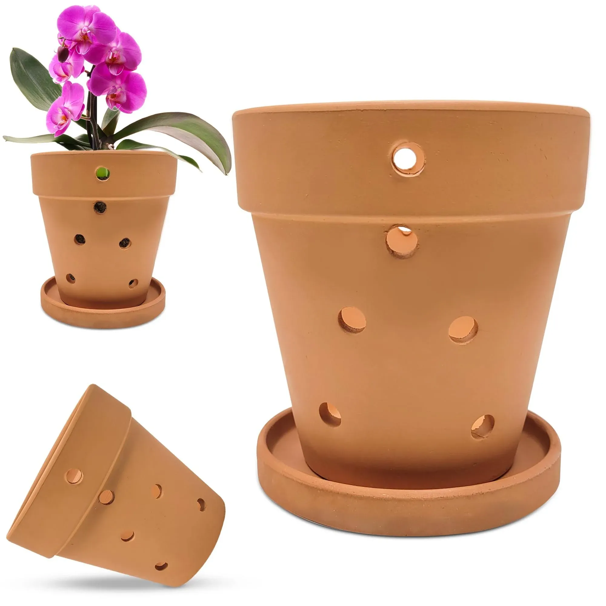 Wild Roots Co. 5-Inch Terracotta Orchid Pots