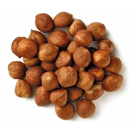 Fresh Raw Shelled Hazelnuts filberts - Etsy