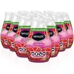 Renuzit Adjustables Air Freshener, Forever Raspberry, 7 oz Solid, 12/Carton