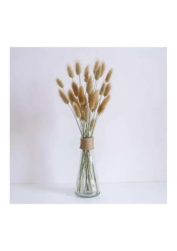 Natural Dried Lagurus ovatus 100 Pcs, Boho Home Decor Bouquet, Dried Bunny Tails Pampas for Dried Flowers Arrangements Wedding Bathroom Home Decor