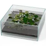 LANDEN Glass Air Aquarium Tank Multi-Scene Landscape Aquarium, 1.6Gallon Rimless Low Iron Shallow Tank,10.63" W×10.63" D×4.72" H (27cmx27cmx12cm) 5mm Thickness