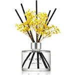 COCODOR Preserved Real Flower Reed Diffuser/Engli<wbr/>sh Pearfree / 6.7oz(200ml) / 1 