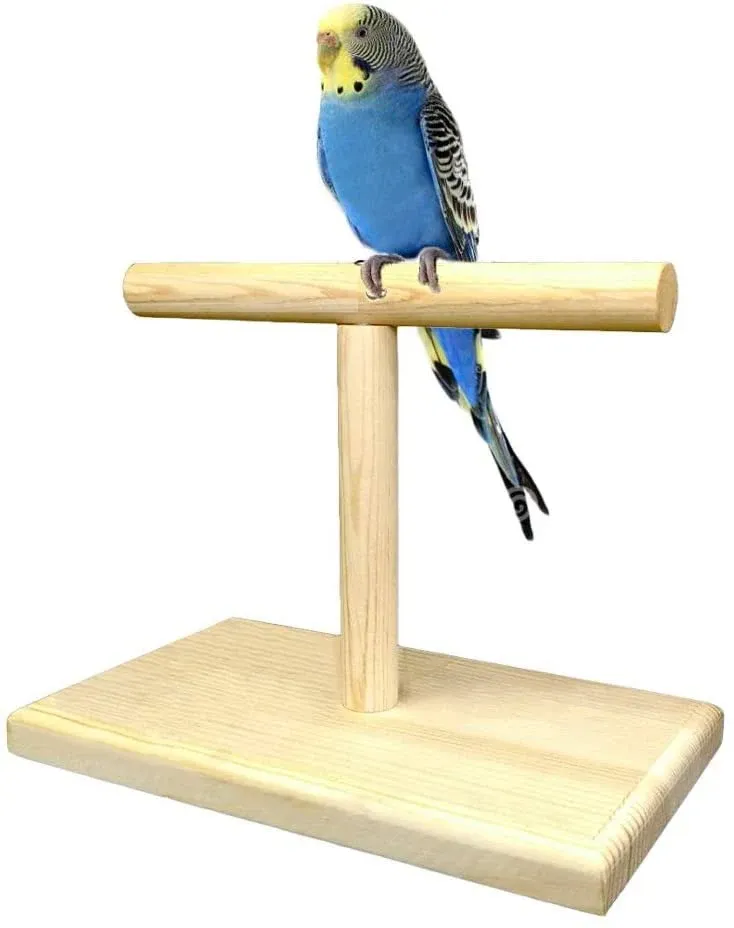 Bird Training Stand Portable Tabletop Bird Perch Spin Training Perch For Parakee