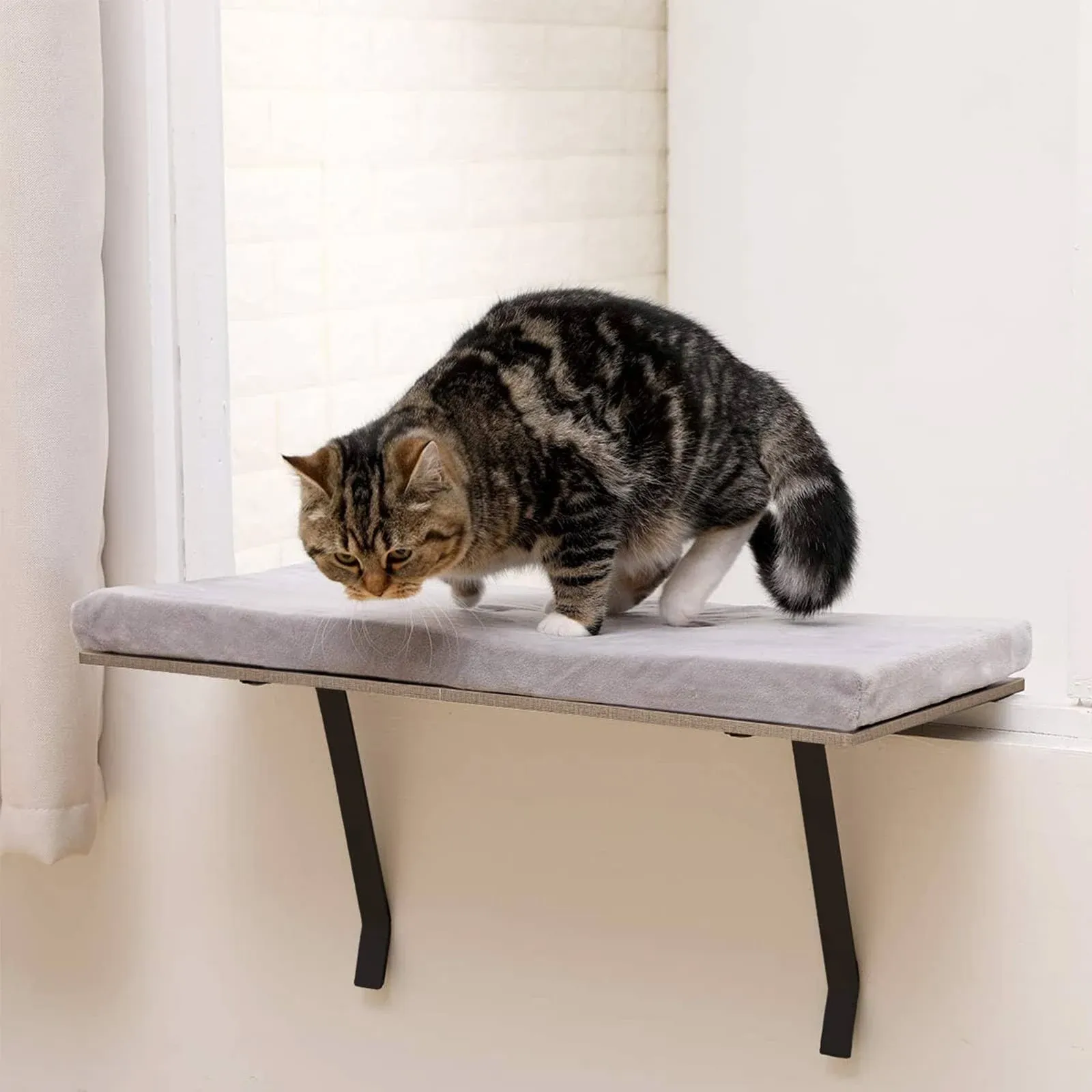 Sweetgo Cat Window Perch-Mounted Shelf Bed for Cat-funny Sleep DIY Kitty Sill ...