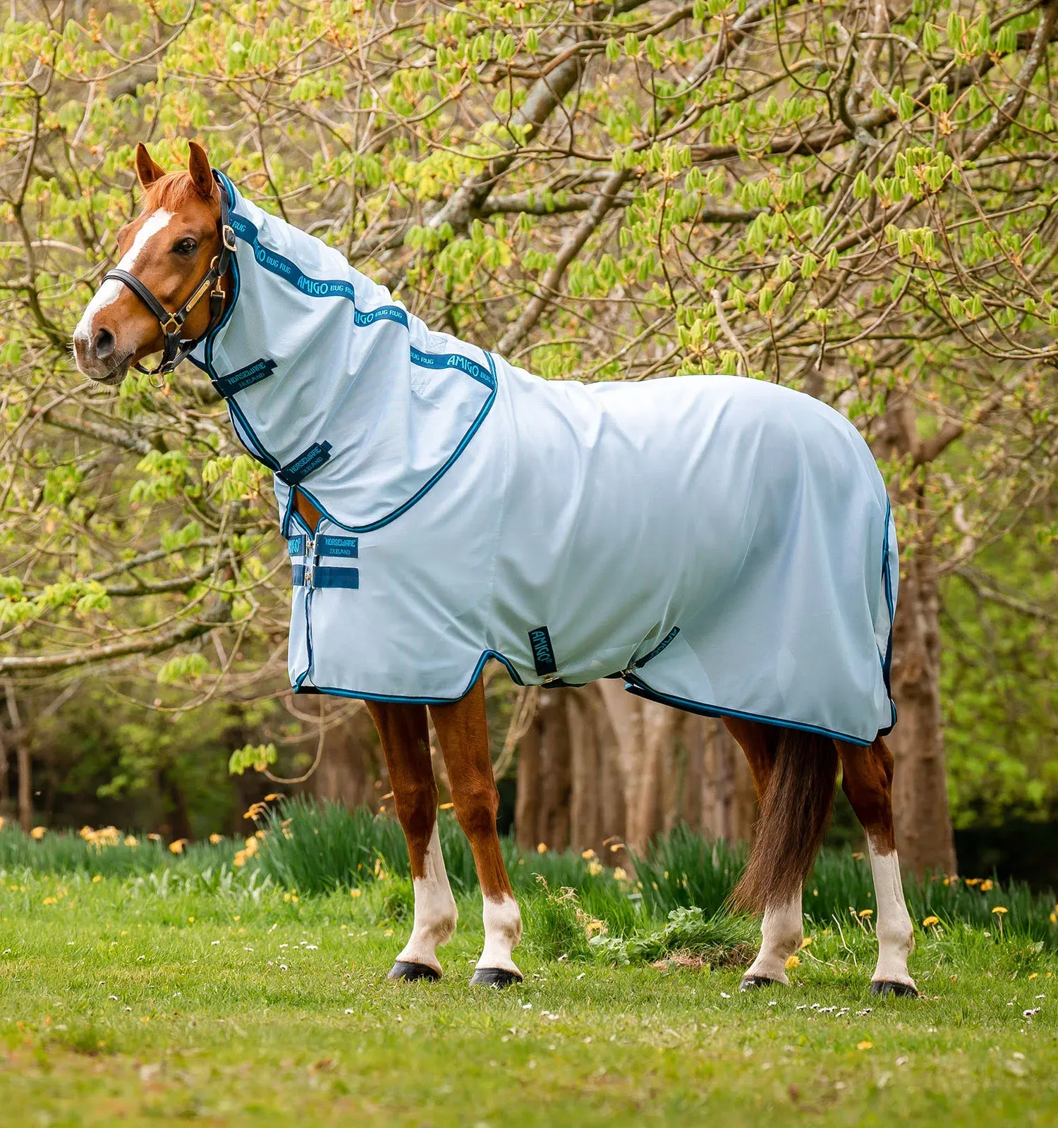 Amigo Bug Rug Fly Sheet Azure blue/navy 81