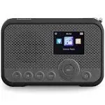 Sangean WFR-39 FM-RBDS/Intern<wbr/>et Radio with Spotify Connect, AirMusic Control Rec