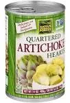 Native Forest - Quartered Artichoke Hearts, 14 oz