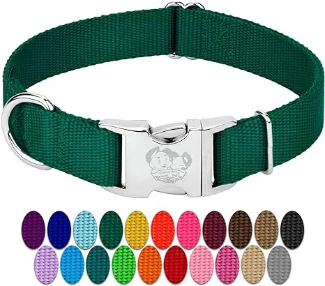 Country Brook Petz Premium Nylon Dog Collar