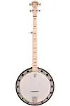 Deering GTREONATOR2 Resonator 2 5 String