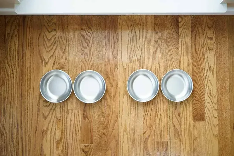 Stainless Steel Cat Bowls for Food &amp; Water by Americat – Made in USA – Dishwashe