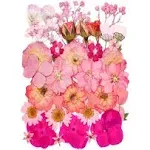 15 Types 37pcs Pink Dried Pressed Flowers for Resin Molds,Real Natural Pressed Flowers for DIY Art Crafts,Candle Making, Nails Décor,Soap Making,