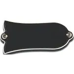 Gibson Blank Truss Rod Cover