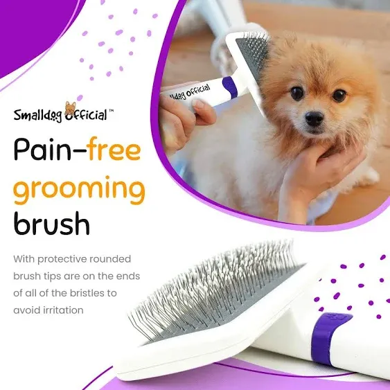 Grooming Tool - Gentle Slicker Brush for Small & Toy Breeds with Long or Short Hair, Soft Angled Bristles & Round Tips for Sensitive Skin