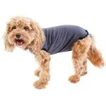 BellyGuard Onesie Dog Recovery Apparel, Grey, X-Small