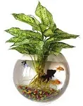 Outgeek Wall Fish Bubble Wall Hanging Bowl Clear Acrylic Vase Flower Plant Pot Aquarium 9in (0.5-Gallon)