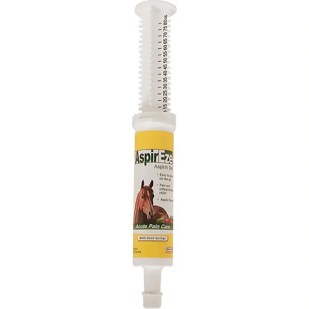 Durvet AspirEze Aspirin Gel for Horses - Apple flavor 80mL