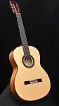 Cordoba F7 Flamenco Acoustic Nylon String Guitar (Iberia Series)