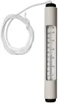 Pentair R141036 - Thermometer #127