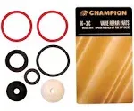 Champion Valve Rebuild Kit 3/4 " Anti-Siphon Valve Carded