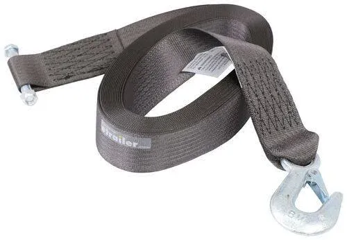 GOLDENROD Dutton-Lainson 6249 20-ft Winch Strap with Hook 4000 lb, 2' x 20", Color May Vary