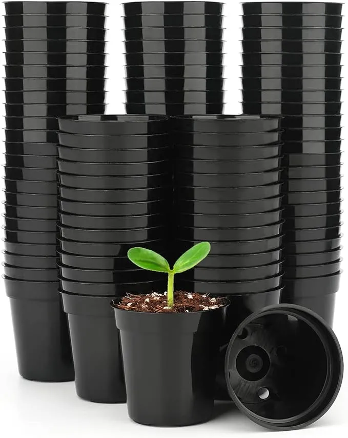 KINGLAKE 2 Inch Plastic Nursery Pots,100 Pcs Seed and Cutting Pots for Succulent Plants (Black)