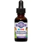 Oregon's Wild Harvest Children's Echinacea Goldenseal Organic Orange 1 fl oz