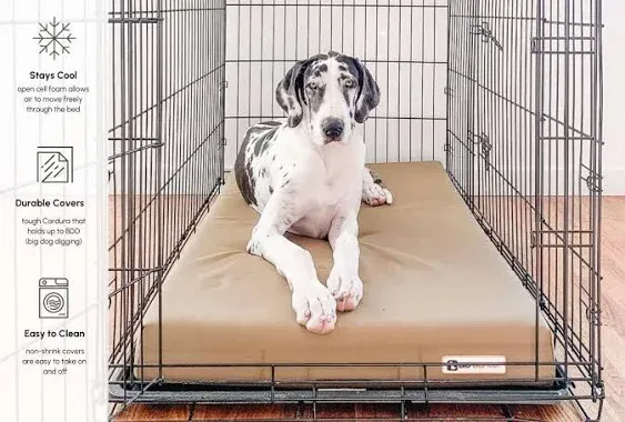 Orthopedic Dog Crate Bed | Big Barker