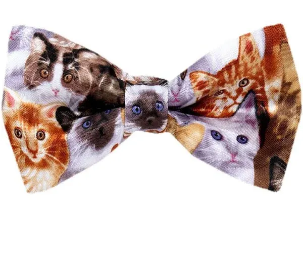 PBTN-208 - Cats Pre Tied Bow Tie 