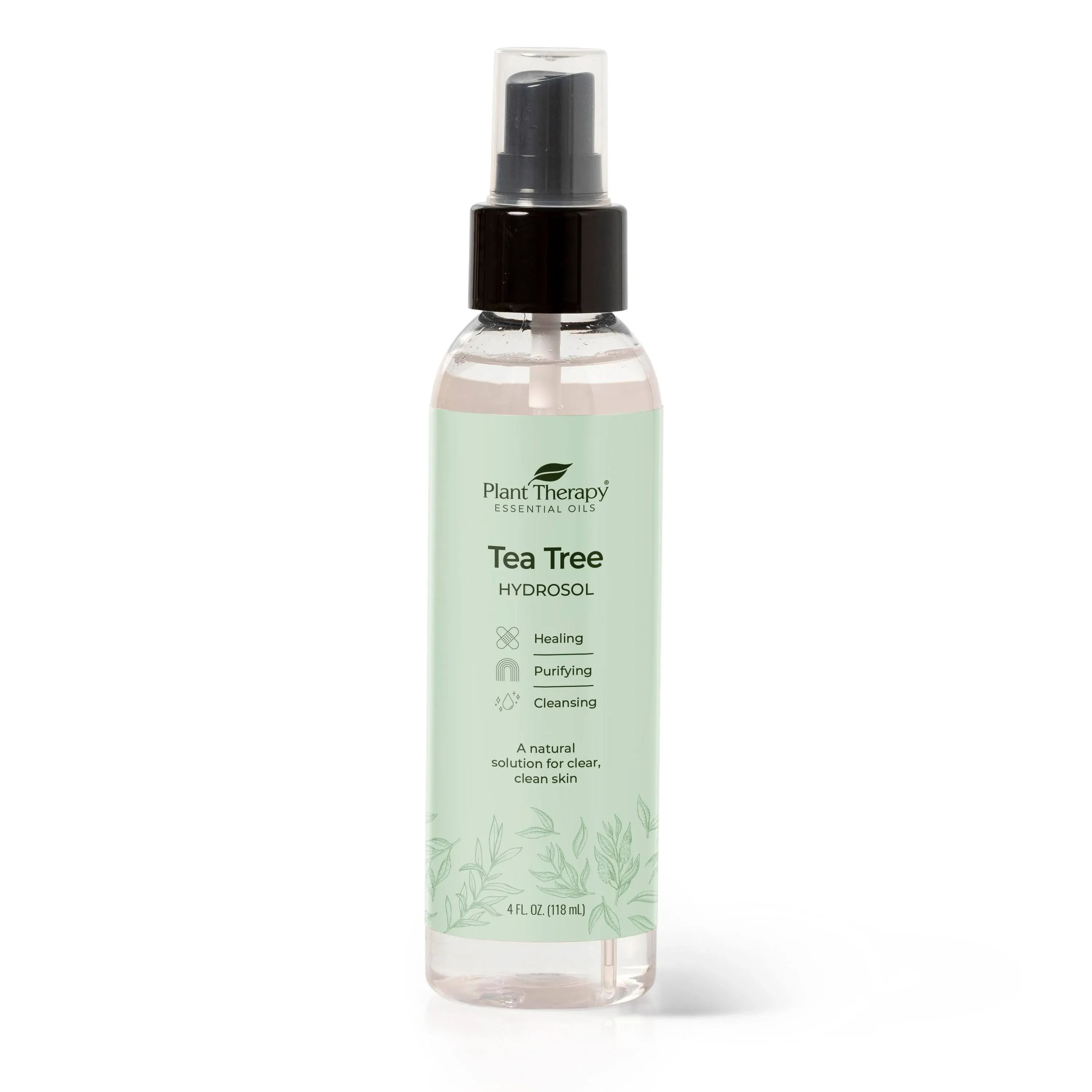 Plant Therapy Organic Tea Tree Hydrosol 4 oz