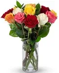 Benchmark Bouquets 12 stem Rainbow Roses Next Day Prime Delivery Farm Direct ...