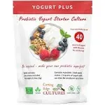 Yogurt Plus Probiotic Yogurt Starter Culture By Cutting Edge Cultures 4 grams 4 Packets