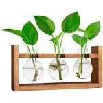 Glass Bulb Terrarium w/ Retro Solid Wooden Stand for Hydroponics Plants 3 Bulbs