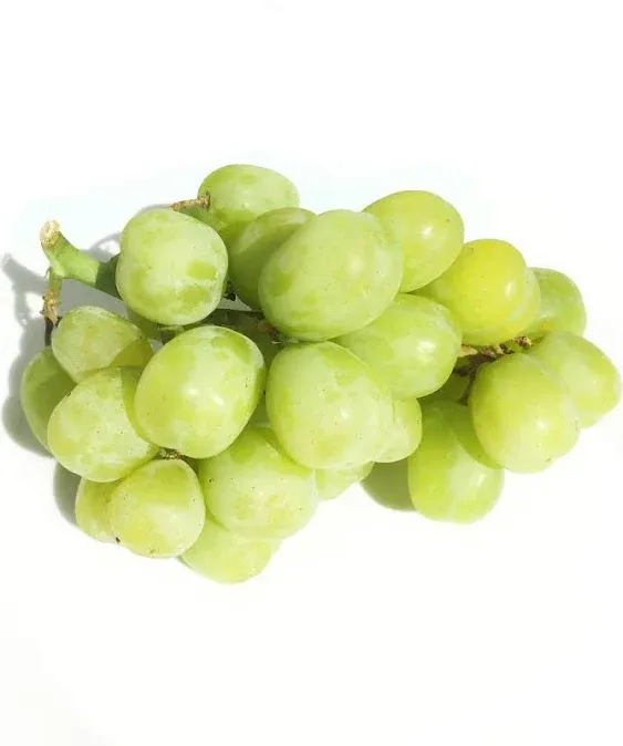 Kejora Fresh Seedless COTTON CANDY Grapes California Grown - 2 lbs