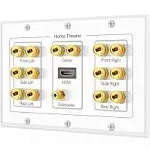 TNP Home Theater Speaker Wall Plate Outlet