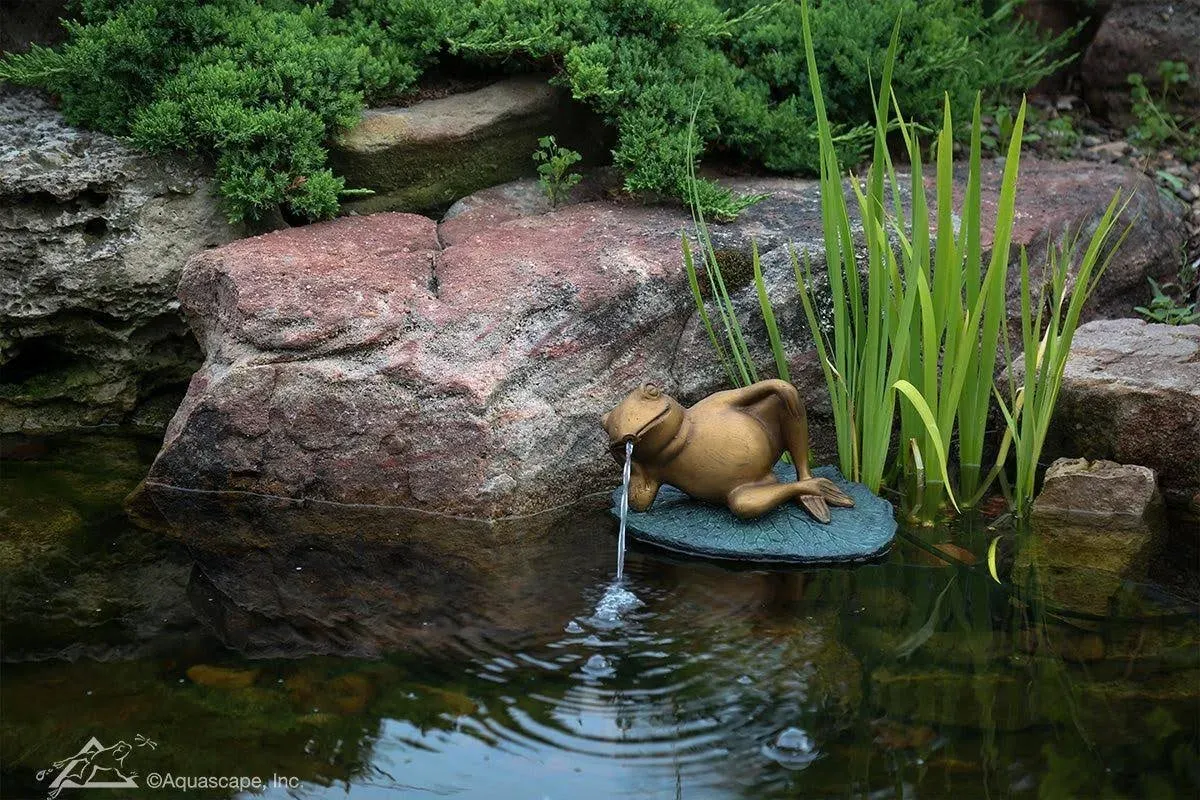 Aquascape Lazy Frog on Lily Pad Spitter Fountain, 78311