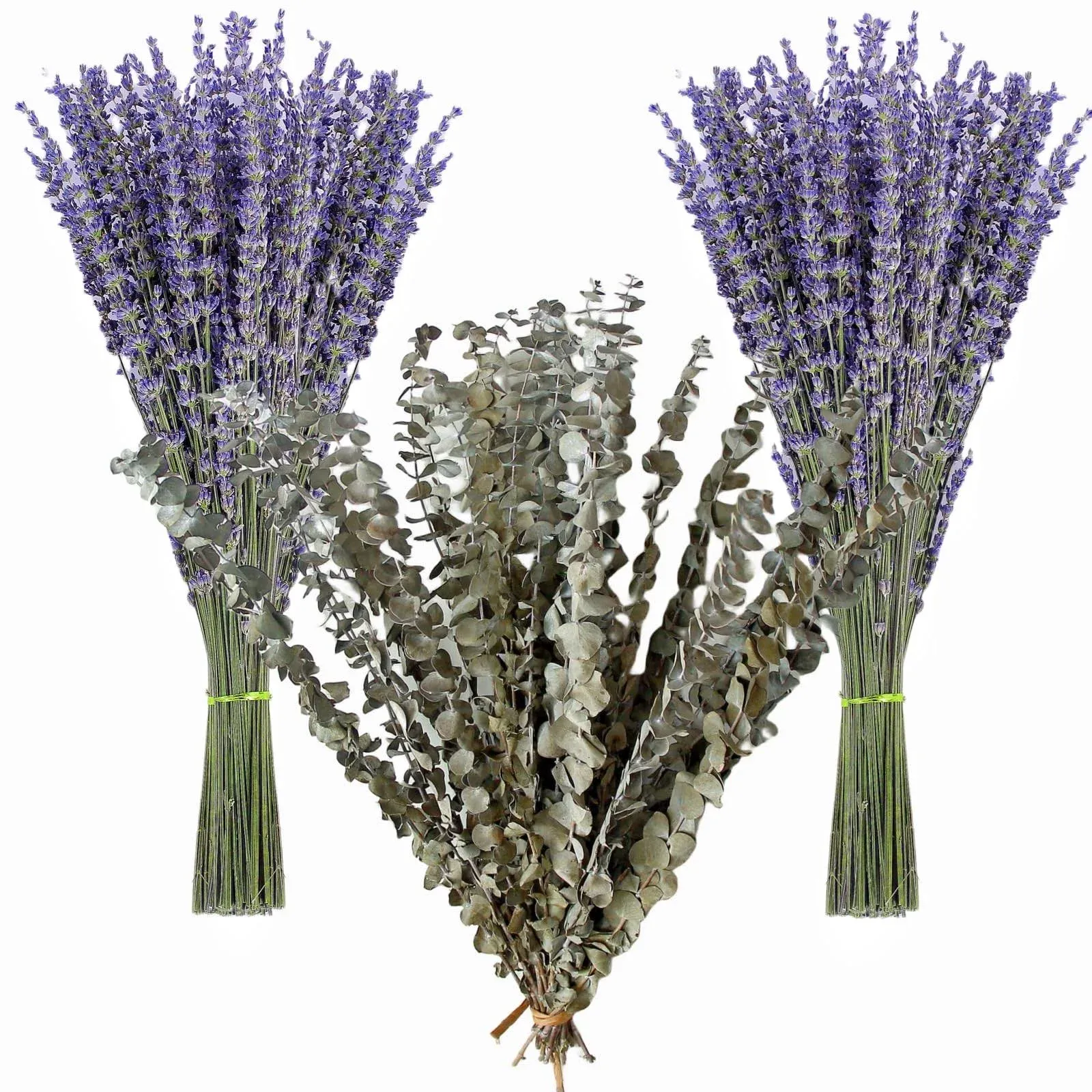 130 Stems Dried Lavender Flowers and Shower Eucalyptus 30PCS-Eucalypt<wbr/>us-B