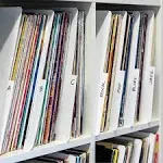 Crosley 21621470 Vinyl Record Organization Dividers - White