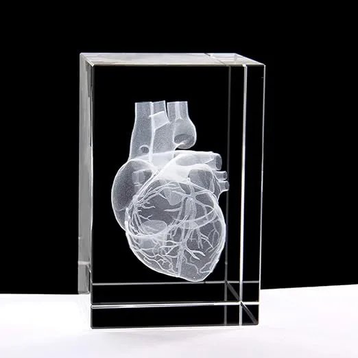 3D Human Heart Anatomical Model Paperweight(Laser Etched) in Crystal Glass Cube Science Anatomy Gift (No Included LED Base)(3.1x2x2 inch)