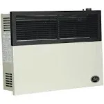 Ashley 17,000 BTU Direct Vent Natural Gas Wall Heater