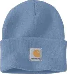 Carhartt beanie in color blue