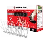 Bird B Gone MM2000-5/20 5in - 20ft. Plastic Bird Spikes