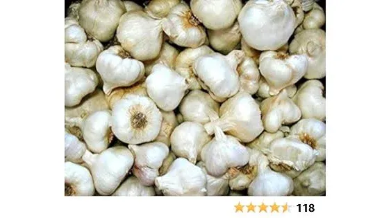 Organically Grown (White softneck) Garlic for Planting - 1/2 LB- Bulb