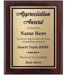 Appreciation Award Plaque Customized 8x10 - Personalized Awards and Trophies for Employee Recognition - Custom Plaques with Your Text - Customize Now!