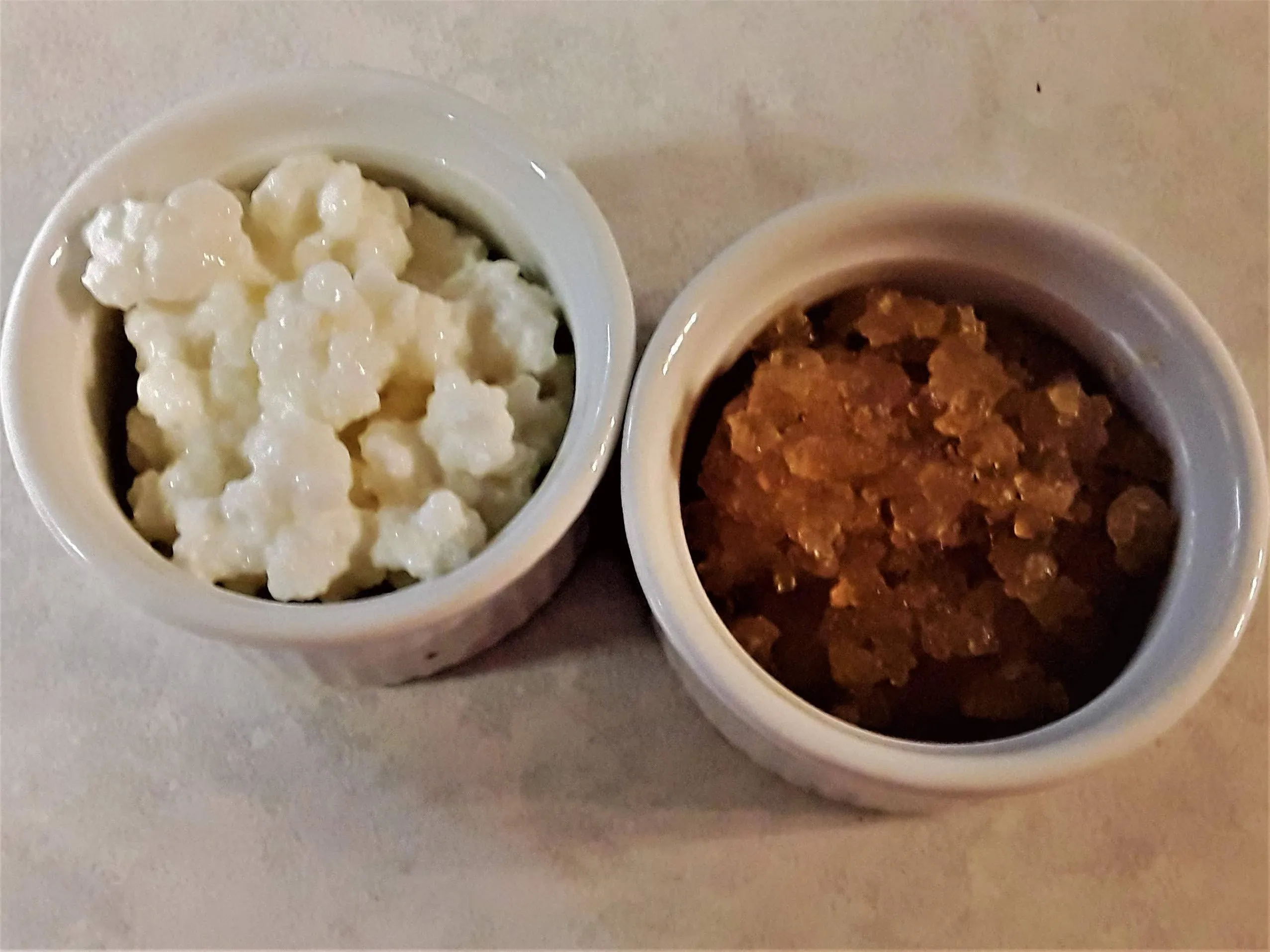 Kefir Duo- water and milk