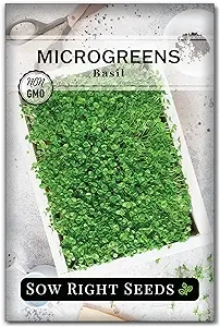 Microgreens Basil