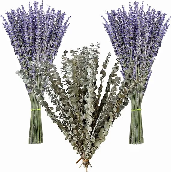 130 Stems Dried Lavender Flowers and Shower Eucalyptus 30PCS-Eucalypt<wbr/>us-B