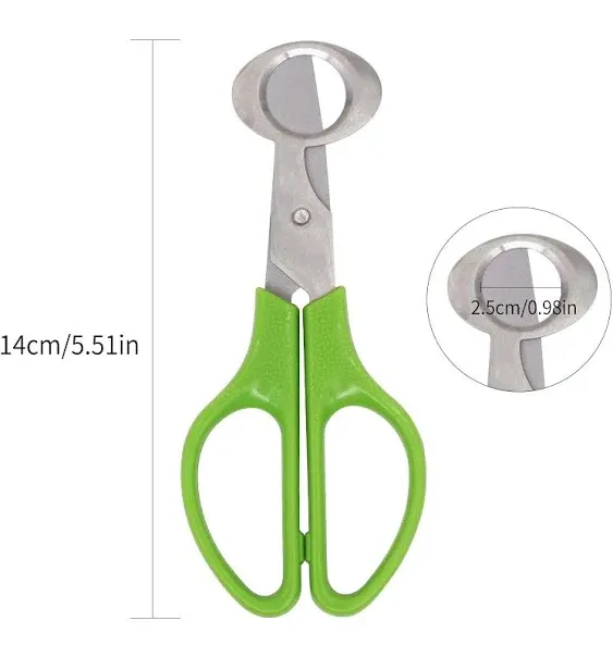 Quail Egg Cutter Scissors Stainless Steel Pigeon Bird Opener Pack Green 