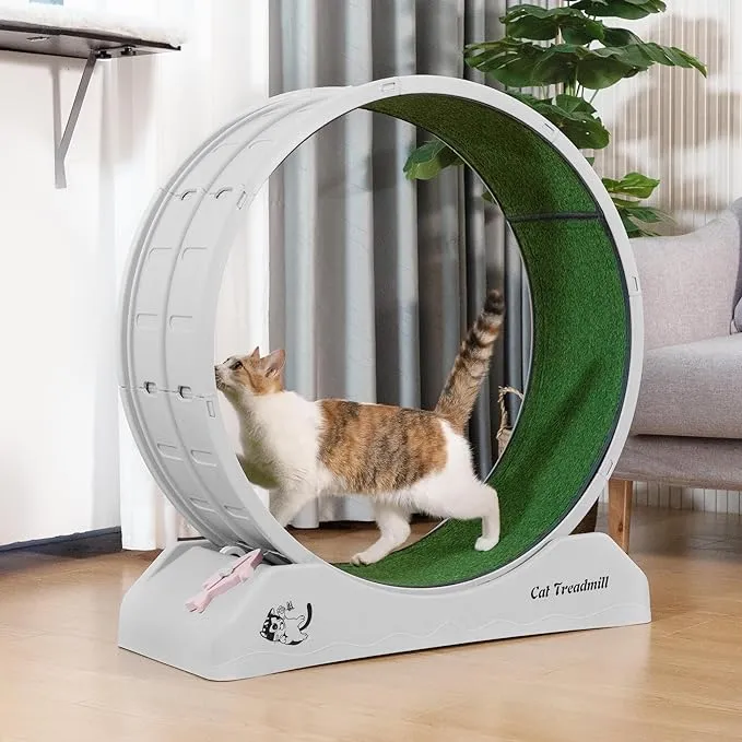 31.5" Large Cat Treadmill, Cat Exercise Wheel with Locking Mechanism Nonslip Carpet Cat Teaser Running Wheel for Indoor Cats Small Animals, Gray